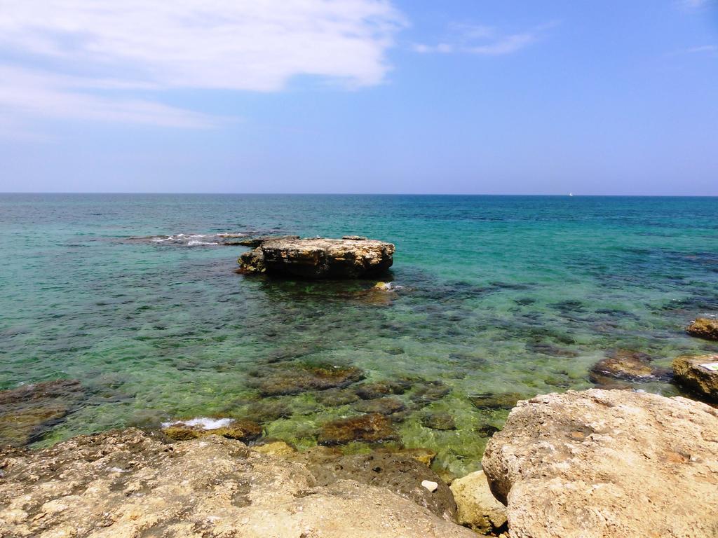 روتيليانو B&B Poggio Delle Ginestre المظهر الخارجي الصورة